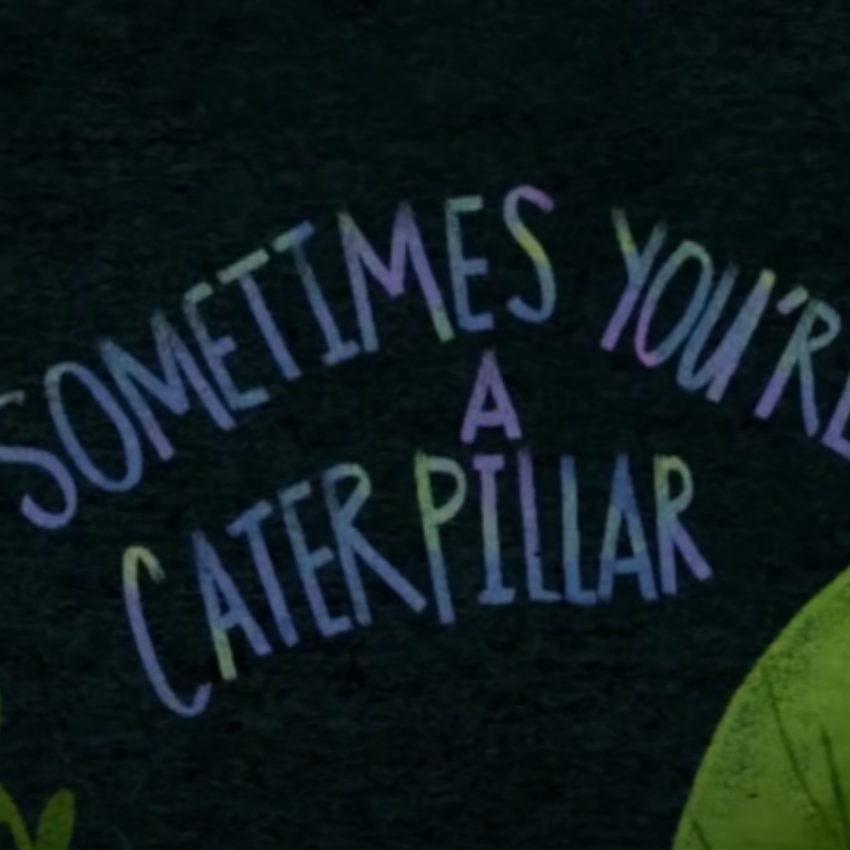 Sometimes You’re A Caterpillar